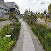 23 Years After Being Proposed, Greenpoint Nature Walk Is Finished